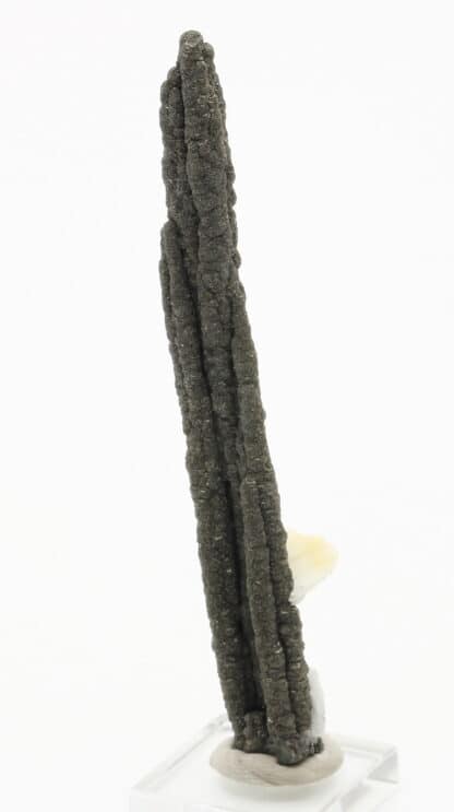 Pyrite stalactiforme, Mine des Malines, St-Laurent-le-Minier, Gard.