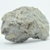 Pegmatite, Buchwald, Riesengebirge (Monts des Géants), Allemagne.