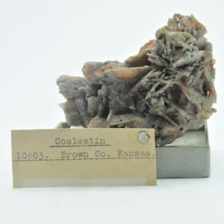 Célestine (Célestite) rouge, Morrill, Brown County, Kansas, USA.