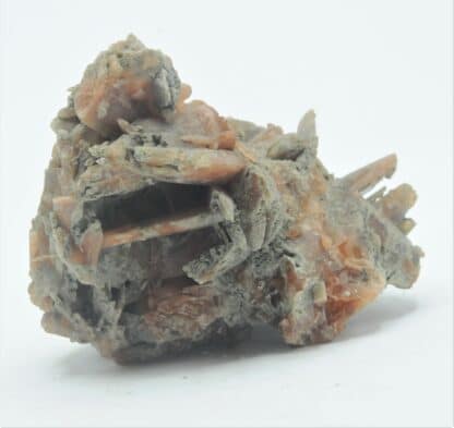 Célestine (Célestite) rouge, Morrill, Brown County, Kansas, USA.