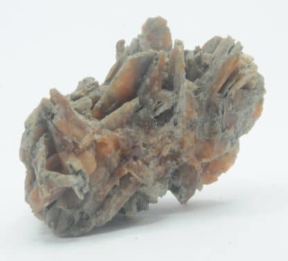 Célestine (Célestite) rouge, Morrill, Brown County, Kansas, USA.