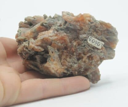 Célestine (Célestite) rouge, Morrill, Brown County, Kansas, USA.