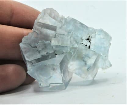 Fluorite (Fluorine) bleue, Mine de Montroc, Tarn.