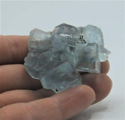 Fluorite (Fluorine) bleue, Mine de Montroc, Tarn.