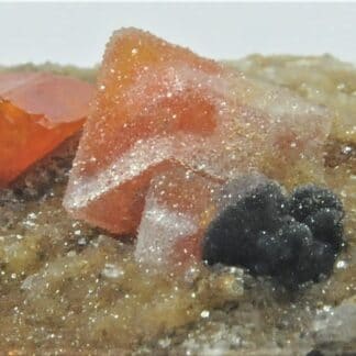 Wulfénite très colorée et Quartz, M’Fouati, Congo, Afrique.