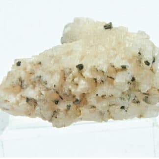 Chalcopyrite sur Baryte (Barytine) rose, Le Barrot, Voltennes, Saône-et-Loire.