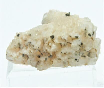 Chalcopyrite sur Baryte (Barytine) rose, Le Barrot, Voltennes, Saône-et-Loire.