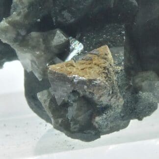 Anatase pseudo en Rutile sur Quartz, Carrière de la Chambre, Maurienne, Savoie.