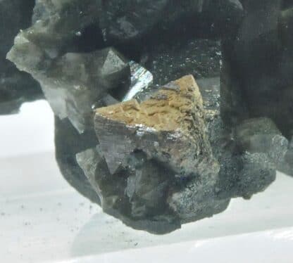 Anatase pseudo en Rutile sur Quartz, Carrière de la Chambre, Maurienne, Savoie.