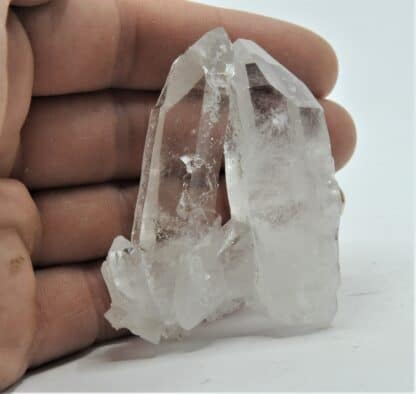 Quartz à habitus du Dauphiné, Le Grand Mont, Massif du Beaufortain, Savoie. – Image 2