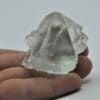 Fluorine (Fluorite) bleutée, Montroc (Mont-Roc), Tarn.