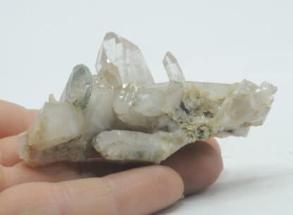 Quartz chloriteux, Les Deux-Alpes, Oisans, Isère.