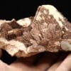 Orthose (orthoclase) et quartz, Coustouges, Pyrénées-Orientales.