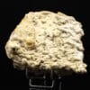 Quartz sur baryte, Les Sauguettes (Voltennes), Saône-et-Loire, Morvan.