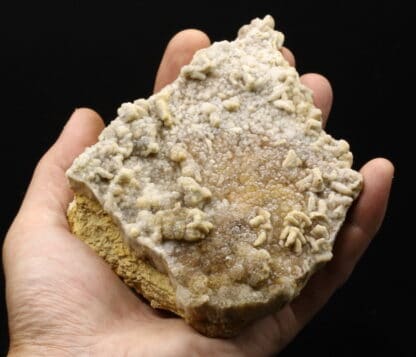 Quartz sur baryte, Les Sauguettes (Voltennes), Saône-et-Loire, Morvan.