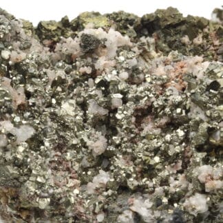 Chalcopyrite, pyrite sur quartz, Le Burc, Tarn.