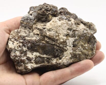 Sphalérite et galène dans calcite, Mine de Beauraing, Namur, Belgique.