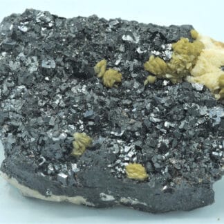 Sidérite sur Sphalérite (Blende), Le Rivet, Peyrebrune, Tarn.