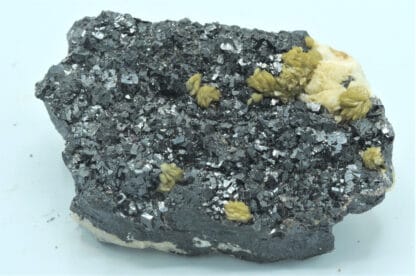 Sidérite sur Sphalérite (Blende), Le Rivet, Peyrebrune, Tarn.