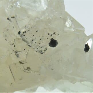 Blende (Sphalérite) sur Fluorine (Fluorite), Mine de Fontsante, Var.