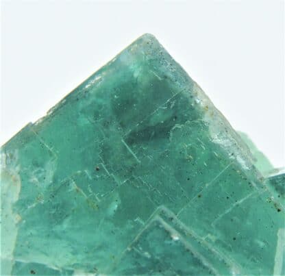 Fluorite (Fluorine) verte, Filon du Figuier, Mine de Fontsante, Var.