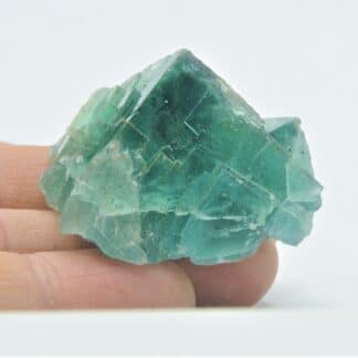 Fluorite (Fluorine) verte, Filon du Figuier, Mine de Fontsante, Var.