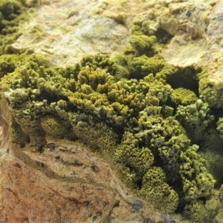 Pyromorphite, La Vidale, Asprières, Aveyron.