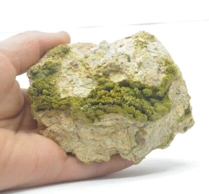 Pyromorphite, La Vidale, Asprières, Aveyron.