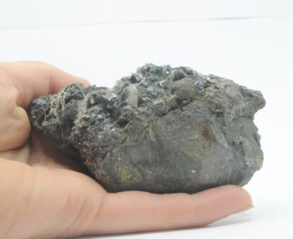 Cassitérite, Chlorite et Quartz, Mine Wherry, Penzance, Cornwall, Royaume-Uni.