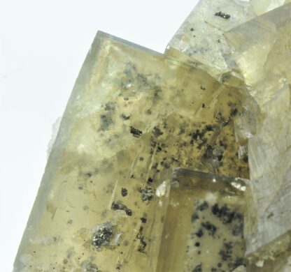 Fluorite à inclusions de pyrite et baryte, El Hammam, Maroc.