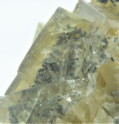 Fluorite à inclusions de pyrite et baryte, El Hammam, Maroc.