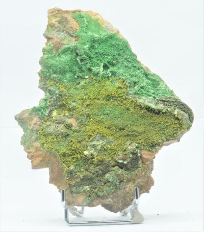 Autunite et Torbernite, Les Bois-Noirs, Saint-Priest-la-Prugne, Forez, Loire.