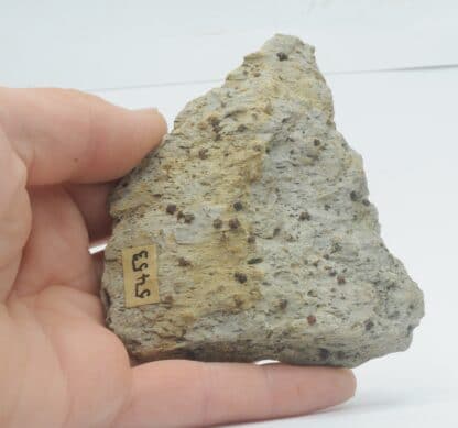 Grenat almandin, Val Piora, Suisse. – Image 4