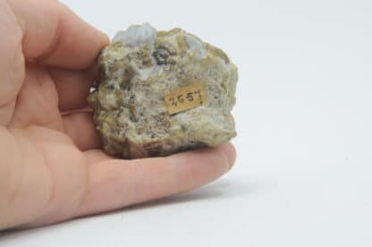 Calcite bleue et Vésuvianite, Monzoni, Tyrol, Italie.