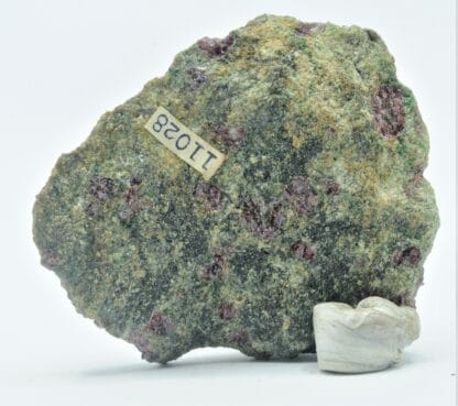 Grenat et Chromite dans une Omphacite, Tessin, Suisse.