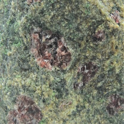 Grenat et Chromite dans une Omphacite, Tessin, Suisse.