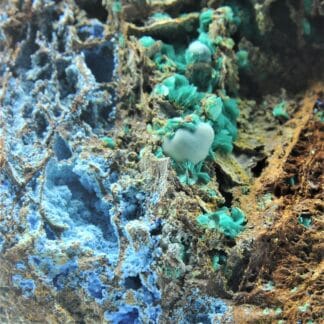 Carbocyanotrichite, Chalcophyllite et Malachite, Salsigne, Aude.