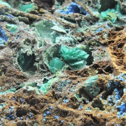 Carbocyanotrichite, Chalcophyllite et Malachite, Salsigne, Aude.