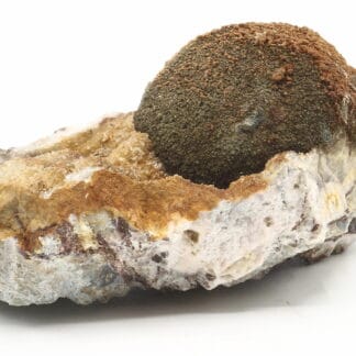 Melnikovite, Chalcopyrite, Dolomite, Laguépie, Tarn-et-Garonne.