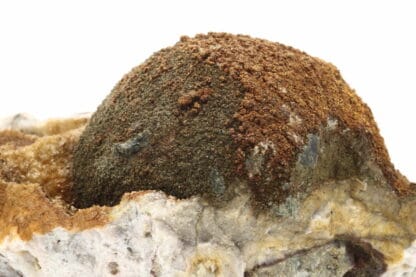 Melnikovite, Chalcopyrite, Dolomite, Laguépie, Tarn-et-Garonne.