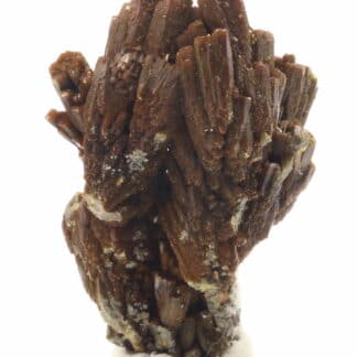 Pyromorphite brune, Les Farges, Ussel, Corrèze.