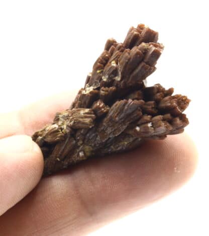 Pyromorphite brune, Les Farges, Ussel, Corrèze.