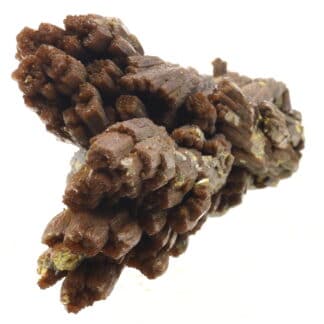 Pyromorphite brune, Les Farges, Ussel, Corrèze.