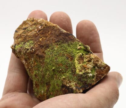 Pyromorphite verte, L’Argentolle, Saint-Prix, Saône-et-Loire.