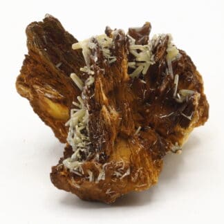 Pyromorphite sur Baryte, mine du Rossignol, Chaillac, Indre.