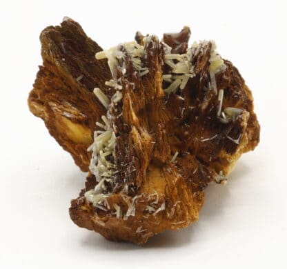 Pyromorphite sur Baryte, mine du Rossignol, Chaillac, Indre.