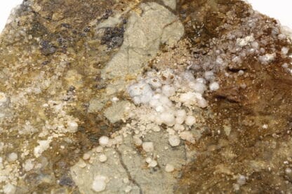 Calcite sur Sidérite, Carrière du Rivet, Peyrebrune, Tarn.