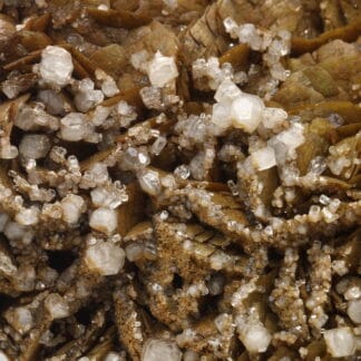 Calcite sur Sidérite, Carrière du Rivet, Peyrebrune, Tarn.