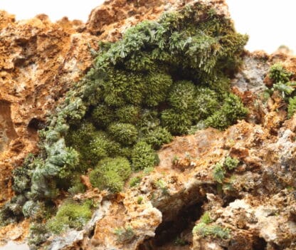 Pyromorphite verte de la mine de Vézis, dans l'Aveyron.