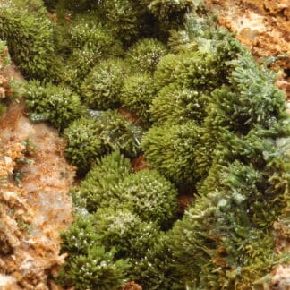 Pyromorphite verte de la mine de Vézis, dans l'Aveyron.